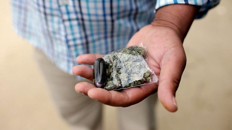 کرونا و بازار مواد مخدر اروپا؛ افزایش خرید آنلاین، کاهش مصرف اکستازی