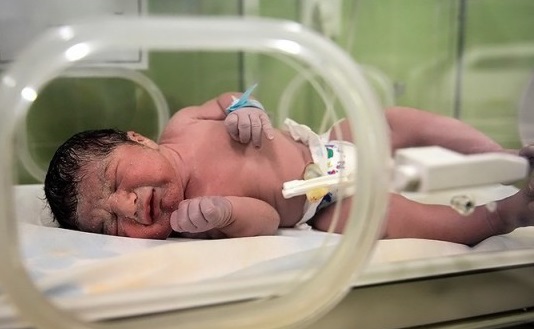 تهدید سلامتی به بهانه تاریخ لاکچری|خبر فوری