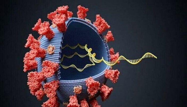 همه چیز درباره سویه جدید اُمیکرون کرونا همه چیز درباره سویه جدید اُمیکرون کرونا