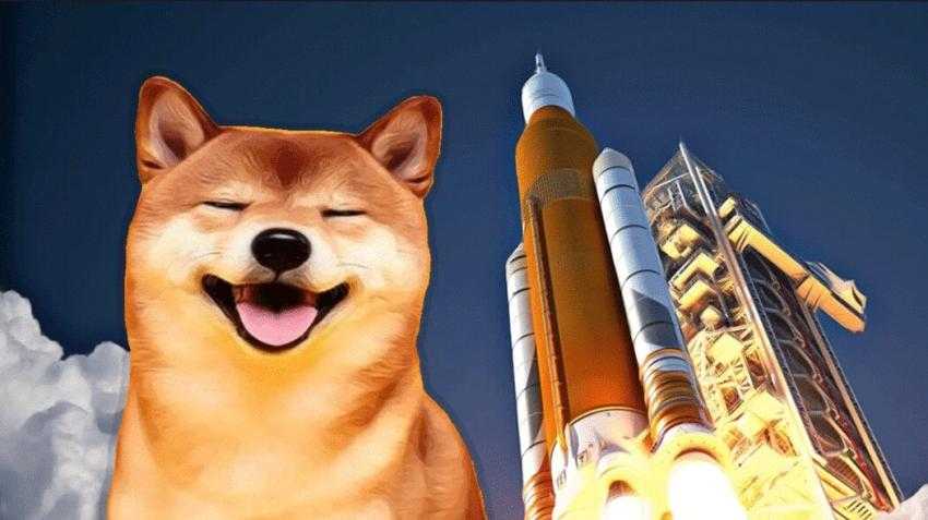 Will Shiba Inu Coin Reach or 50 Cents? SHIB Prediction | CoinCodex