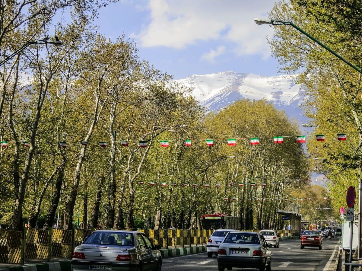 مدیرعامل بوستان‌ها خبر داد: صیانت از چنارهای کهنسال ولیعصر(عج)
