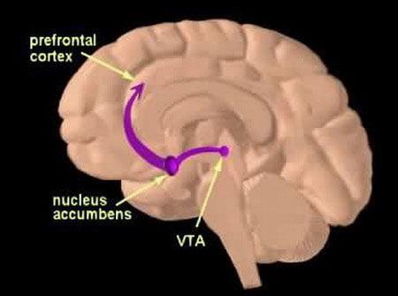 جراحی مغز برای ترک اعتیاد!