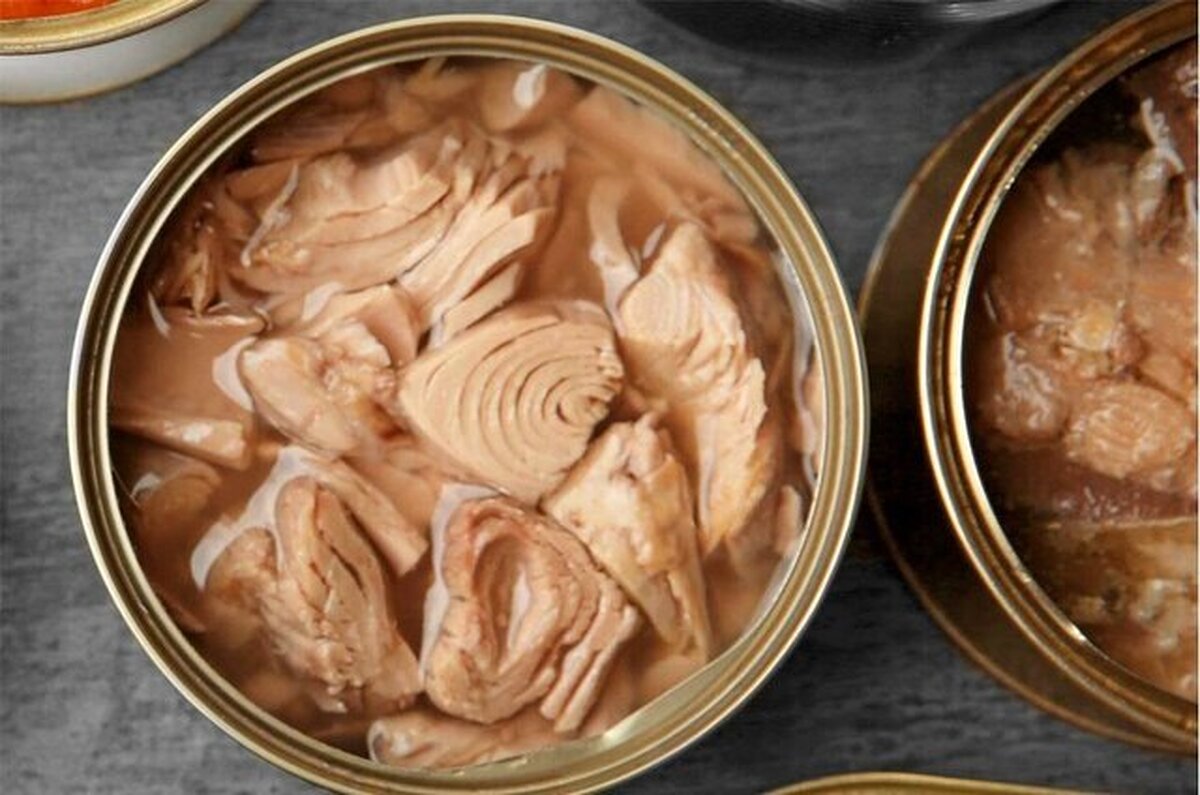 کم‌خطرترین گزینه در میان کنسروهای ماهی کدام است؟